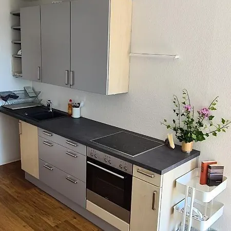 Seeschoen Lindau - Direkt Vor Der Insel Extérieur photo