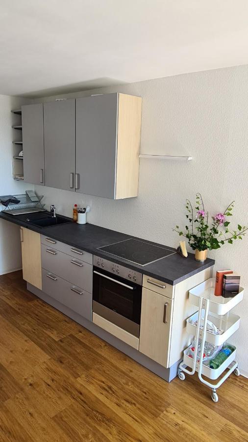 Appartement Seeschoen Lindau - Direkt Vor Der Insel Lindau (Bodensee)